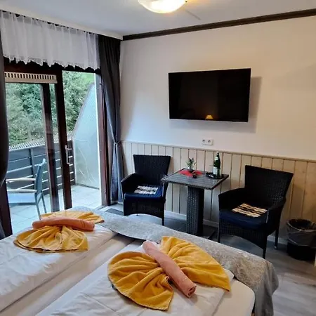 Quellenhof 2* Altenau (Lower-Saxony)