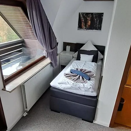 Quellenhof Altenau Hotel 2*