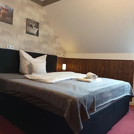 Quellenhof 2* Altenau (Lower-Saxony)