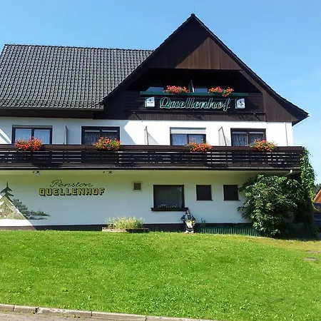 Hotel Quellenhof Altenau 2*
