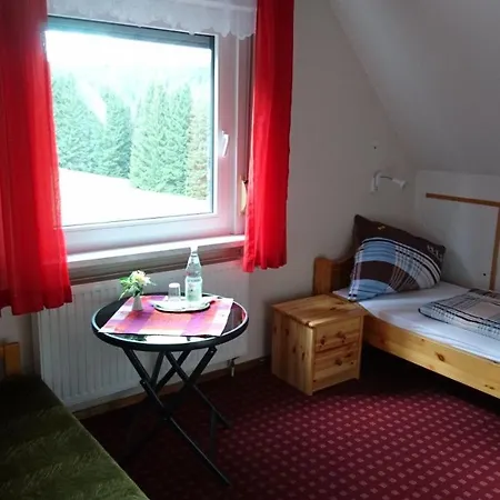 Quellenhof Altenau Hotel 2*